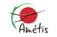 logo ametis